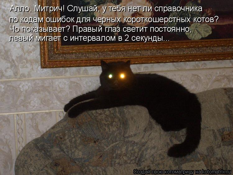 Алло, Митрич! Слушай, у тебя нет ли справочника по кодам ошибок для черных короткошерстных котов? Чо ... Котоматрица: Алло, Митрич! Слушай, у тебя нет ли справочника по кодам ошибок для черных короткошерстных котов? Чо показывает? Правый глаз светит постоянн