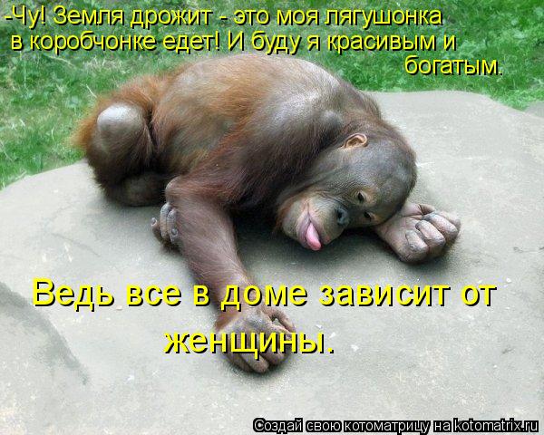 Котоматрица: -Чу! Земля дрожит - это моя лягушонка  в коробчонке едет! И буду я красивым и  богатым. Ведь все в доме зависит от женщины.