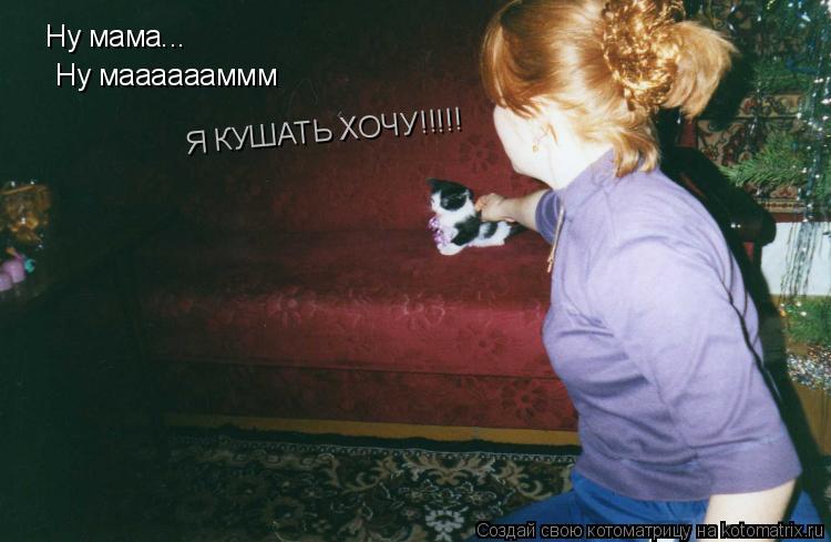 Ну мама... Ну мааааааммм Я КУШАТЬ ХОЧУ!!!!!... Котоматрица: Ну мама... Ну мааааааммм Я КУШАТЬ ХОЧУ!!!!!