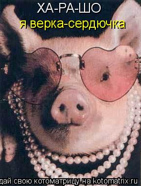 Котоматрица: я верка-сердючка ХА-РА-ШО