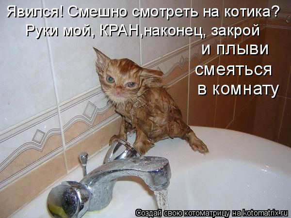 Котоматрица: Явился! Смешно смотреть на котика? и плыви смеяться в комнату Руки мой, КРАН,наконец, закрой