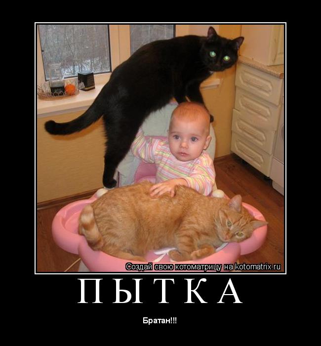 Котоматрица: П Ы Т К А 