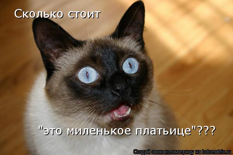 Котоматрица: Сколько стоит "это миленькое платьице"???