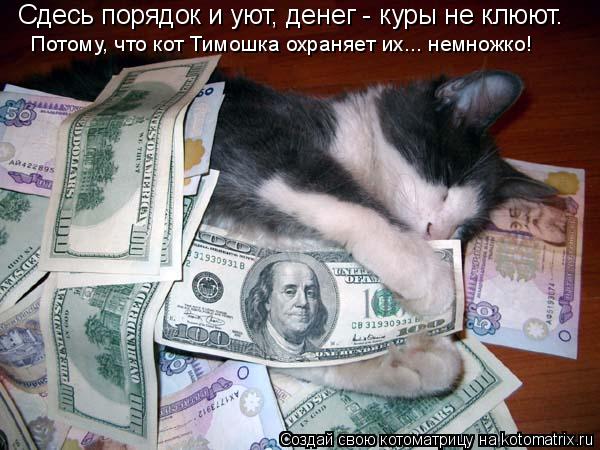 Сдесь порядок и уют, денег - куры не клюют. Потому, что кот Тимошка охраняет их... немножко!... Котоматрица: Сдесь порядок и уют, денег - куры не клюют. Потому, что кот Тимошка охраняет их... немножко!