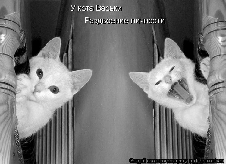 Котоматрица: У кота Васьки Раздвоение личности