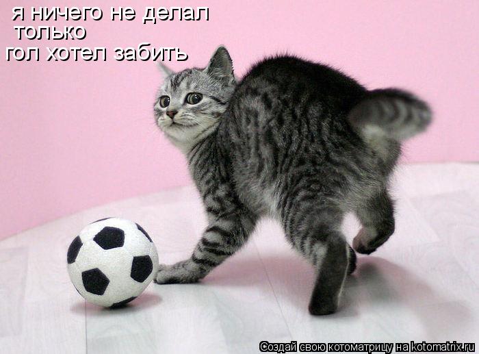 я ничего не делал только гол хотел забить... Котоматрица: я ничего не делал только гол хотел забить