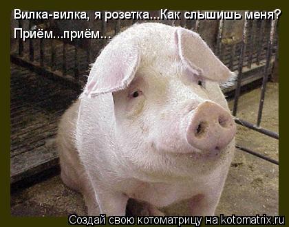 Котоматрица: Вилка-вилка, я розетка...Как слышишь меня?  Приём...приём...