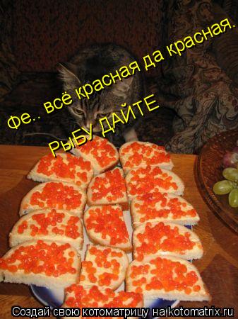 Котоматрица: Фе.. всё красная да красная..  Фе.. всё красная да красная..  РыБУ ДАЙТЕ
