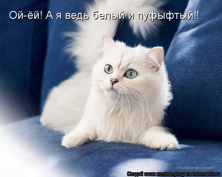 Ой-ёй! А я ведь белый и пуфыфтый!!... Котоматрица: Ой-ёй! А я ведь белый и пуфыфтый!!