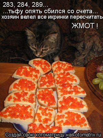 Котоматрица: 283, 284, 289...  ...тьфу опять сбился со счета... хозяин велел все икринки пересчитать ЖМОТ !