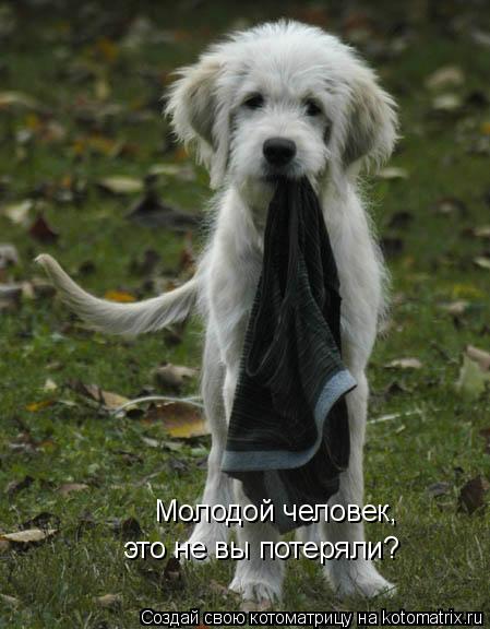 Молодой человек, это не вы потеряли?... Котоматрица: Молодой человек, это не вы потеряли?