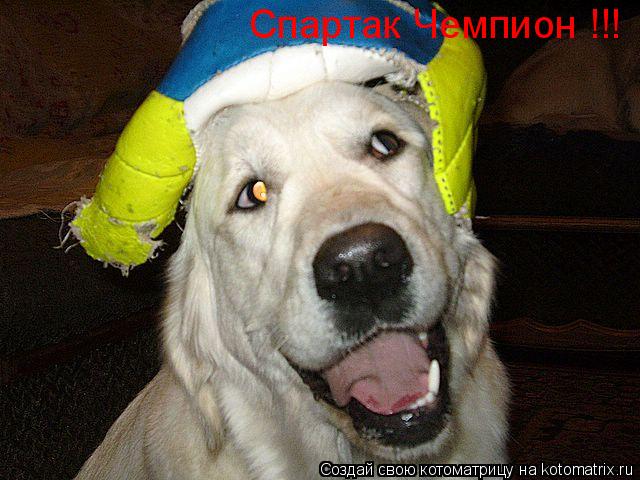 Спартак Чемпион !!!... Котоматрица: Спартак Чемпион !!!