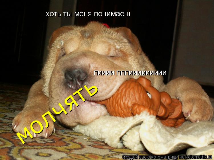 Котоматрица: хоть ты меня понимаеш пииии пппиииииииии молчять