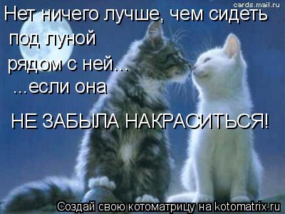 Нет ничего лучше, чем сидеть под луной рядом с ней... ...если она НЕ ЗАБЫЛА НАКРАСИТЬСЯ!... Котоматрица: Нет ничего лучше, чем сидеть под луной рядом с ней... ...если она НЕ ЗАБЫЛА НАКРАСИТЬСЯ!
