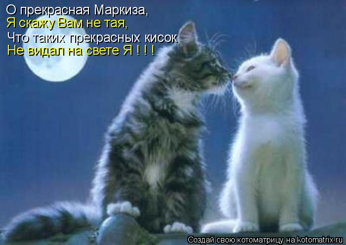 О прекрасная Маркиза, Что таких прекрасных кисок Я скажу Вам не тая, Не видал на свете Я ! ! !... Котоматрица: О прекрасная Маркиза, Что таких прекрасных кисок Я скажу Вам не тая, Не видал на свете Я ! ! !