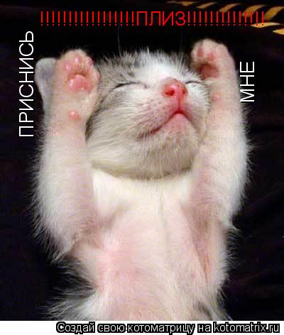 Котоматрица: ПРИСНИСЬ МНЕ !!!!!!!!!!!!!!!!!ПЛИЗ!!!!!!!!!!!!!!