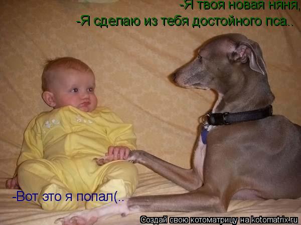 Котоматрица: -Я твоя новая няня,я сделаю из тебя достойного пса.. -Я сделаю из тебя достойного пса.. -Вот это я попал(..