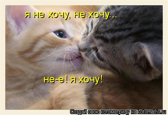 я не хочу, не хочу... не-е! я хочу!... Котоматрица: я не хочу, не хочу... не-е! я хочу!