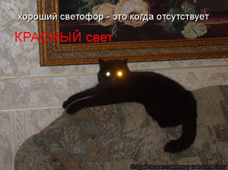 хороший светофор - это когда отсутствует КРАСНЫЙ свет... Котоматрица: хороший светофор - это когда отсутствует КРАСНЫЙ свет