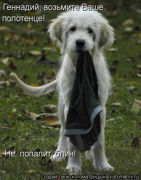 Котоматрица: Геннадий, возьмите Ваше  полотенце! Не, попалит, блин!