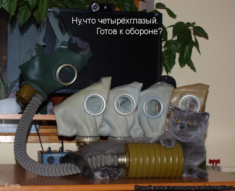Ну,что четырёхглазый. Готов к обороне?... Котоматрица: Ну,что четырёхглазый. Готов к обороне?