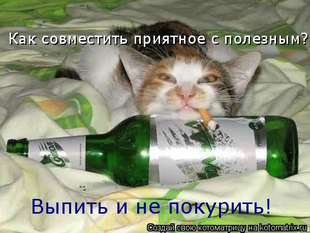 Котоматрица: Как совместить приятное с полезным? Выпить и не покурить!