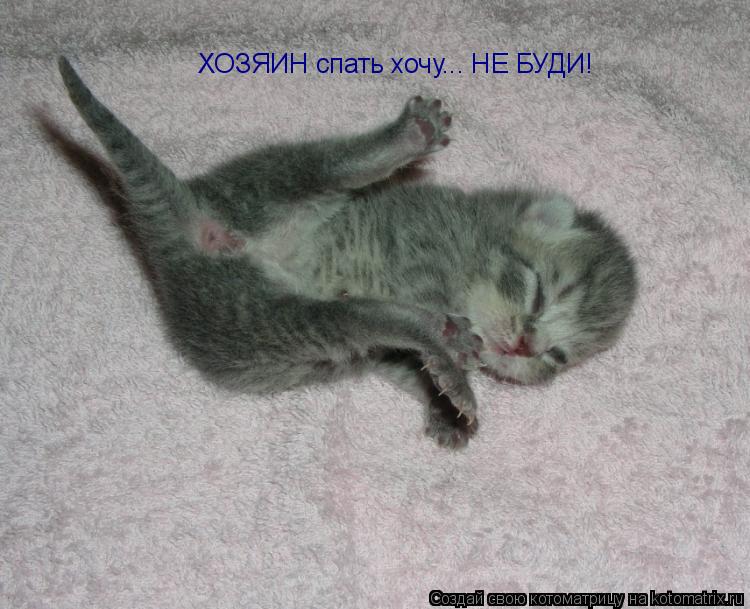 Котоматрица: ХОЗЯИН спать хочу... НЕ БУДИ!