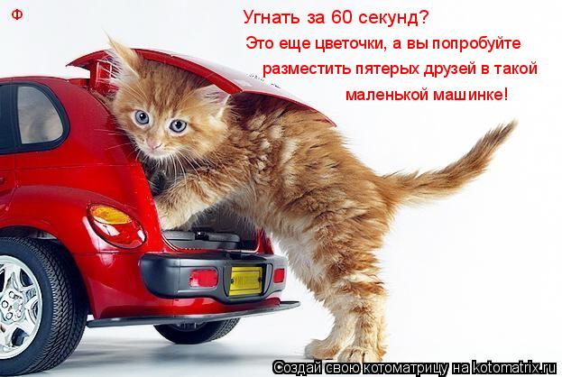 Угнать за 60 секунд? Это еще цветочки, а вы попробуйте разместить пятерых друзей в такой маленькой ма... Котоматрица: Угнать за 60 секунд? Это еще цветочки, а вы попробуйте разместить пятерых друзей в такой маленькой машинке!