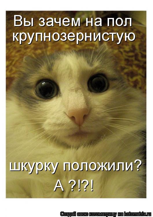 Вы зачем на пол крупнозернистую шкурку положили? А ?!?!... Котоматрица: Вы зачем на пол крупнозернистую шкурку положили? А ?!?!