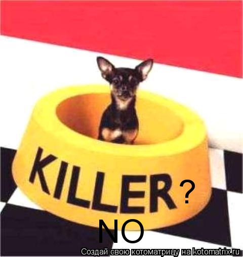 Котоматрица: ? NO