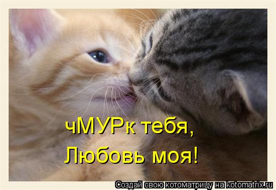 чМУРк тебя, Любовь моя!... Котоматрица: чМУРк тебя, Любовь моя!