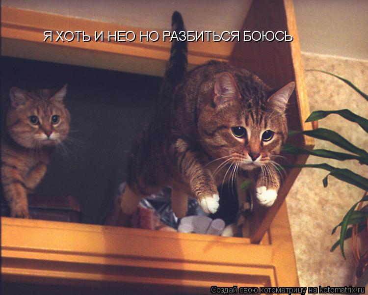 Котоматрица: Я ХОТЬ И НЕО НО РАЗБИТЬСЯ БОЮСЬ