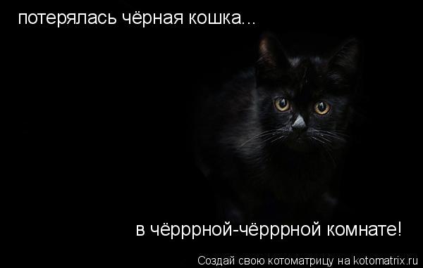 Котоматрица: потерялась чёрная кошка... в чёрррной-чёрррной комнате!