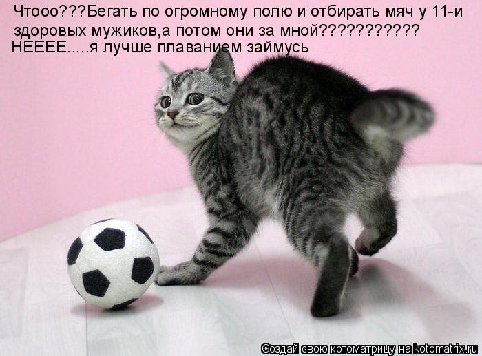 Котоматрица: Чтооо???Бегать по огромному полю и отбирать мяч у 11-и здоровых мужиков,а потом они за мной??????????? НЕЕЕЕ.....я лучше плаванием займусь