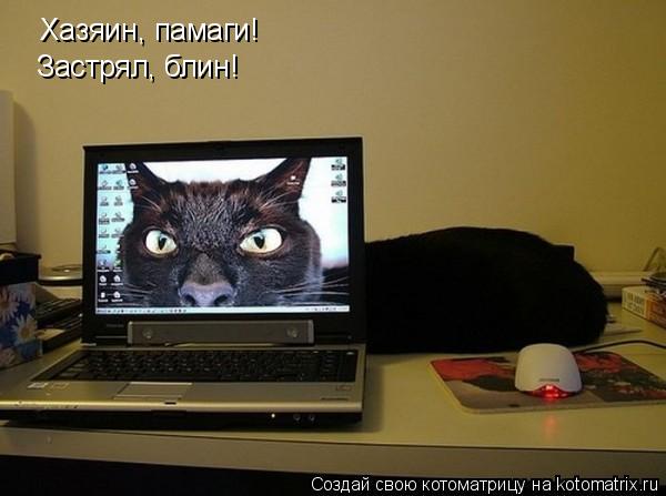 Котоматрица: Хазяин, памаги! Застрял, блин!