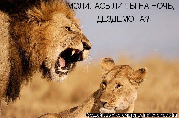 Котоматрица: МОЛИЛАСЬ ЛИ ТЫ НА НОЧЬ,  ДЕЗДЕМОНА?!