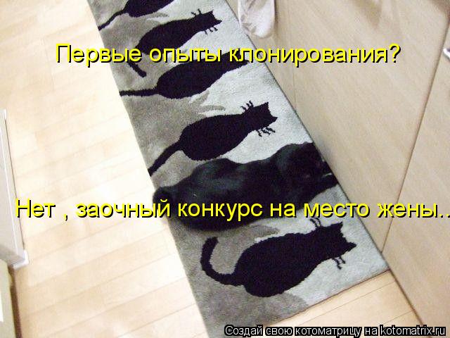 Первые опыты клонирования? Нет , заочный конкурс на место жены..... Котоматрица: Первые опыты клонирования? Нет , заочный конкурс на место жены..