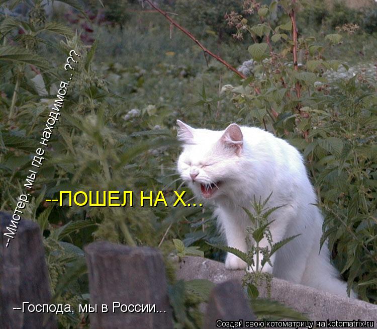 Котоматрица: --Мистер, мы где находимся...??? --ПОШЕЛ НА Х... --Господа, мы в России...