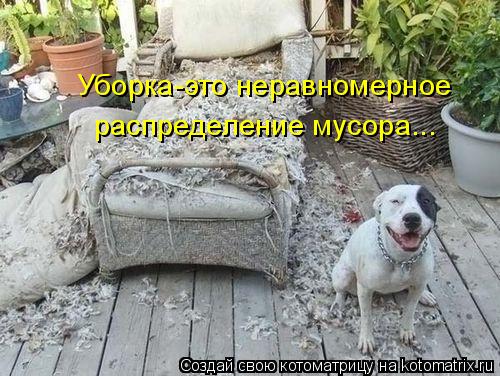 Котоматрица: Уборка-это неравномерное  распределение мусора...