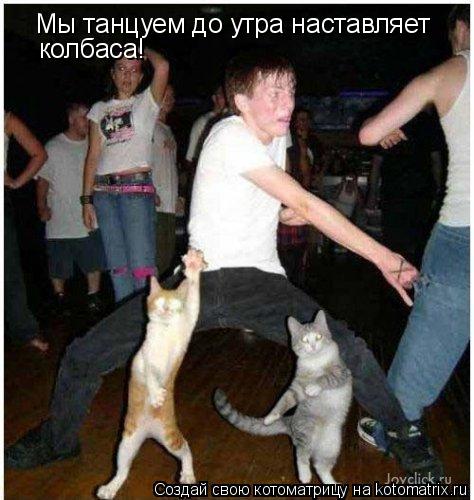 Котоматрица: Мы танцуем до утра наставляет колбаса!