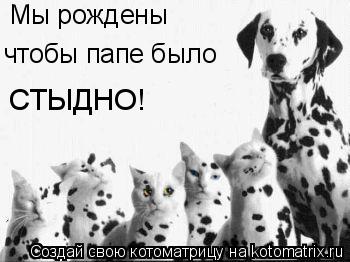 Мы рождены чтобы папе было СТЫДНО!... Котоматрица: Мы рождены чтобы папе было СТЫДНО!