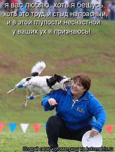 Котоматрица: я вас люблю, хоть я бешусь, хоть это труд и стыд напрасный, и в этой глупости несчастной у ваших ух я признаюсь!