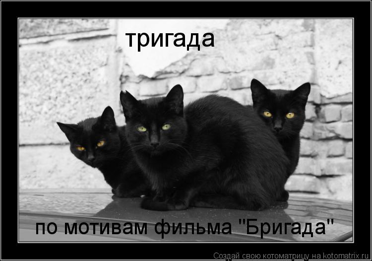 тригада по мотивам фильма "Бригада"... Котоматрица: тригада по мотивам фильма "Бригада"