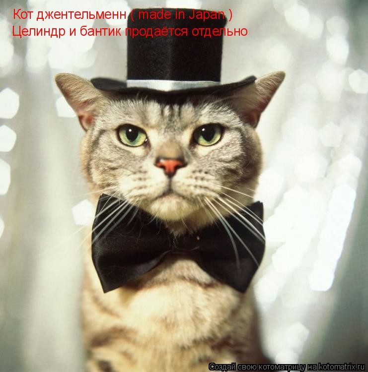Котоматрица: Кот джентельменн ( made in Japan ) Целиндр и бантик продаётся отдельно