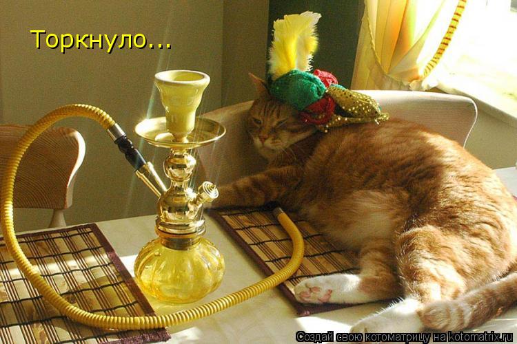 Котоматрица: Торкнуло...