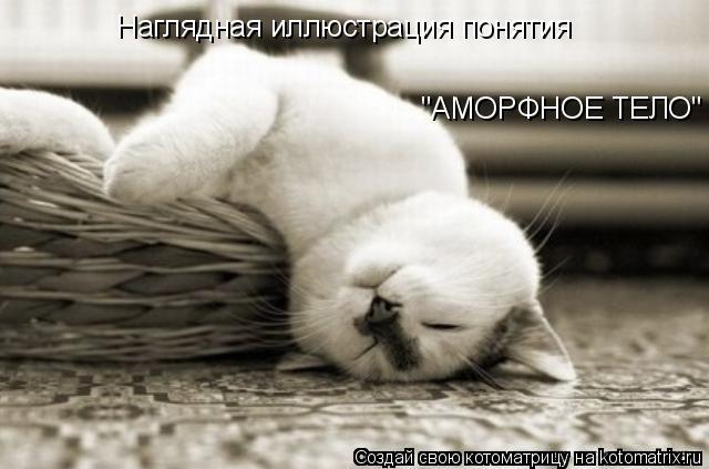 Наглядная иллюстрация понятия "АМОРФНОЕ ТЕЛО"... Котоматрица: Наглядная иллюстрация понятия "АМОРФНОЕ ТЕЛО"