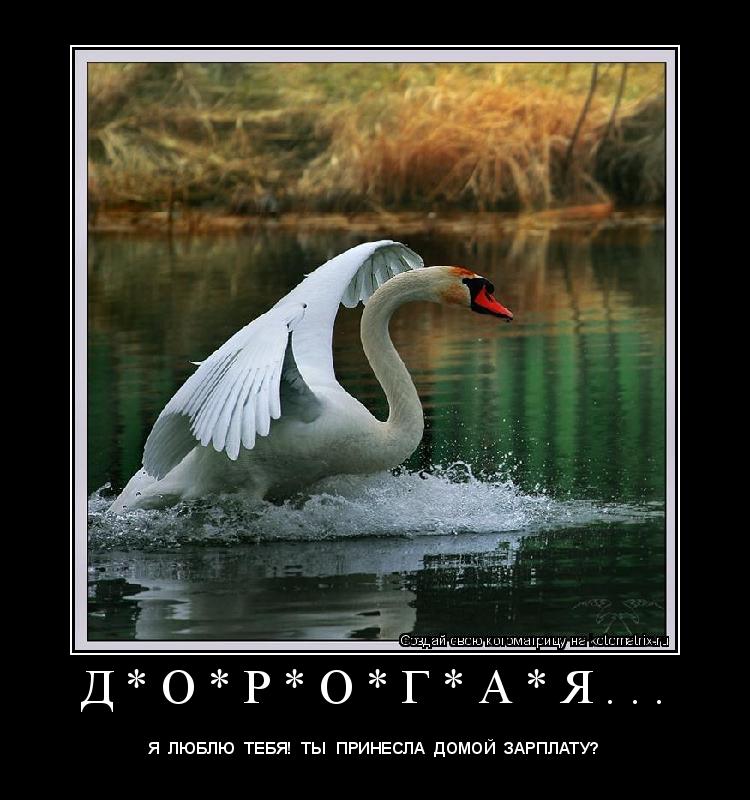 Котоматрица: Д * О * Р * О * Г * А * Я . . . 
