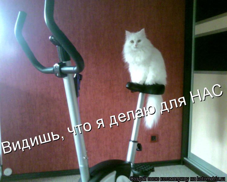 Видишь, что я делаю для НАС... Котоматрица: Видишь, что я делаю для НАС