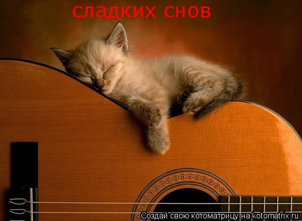 сладких снов... Котоматрица: сладких снов