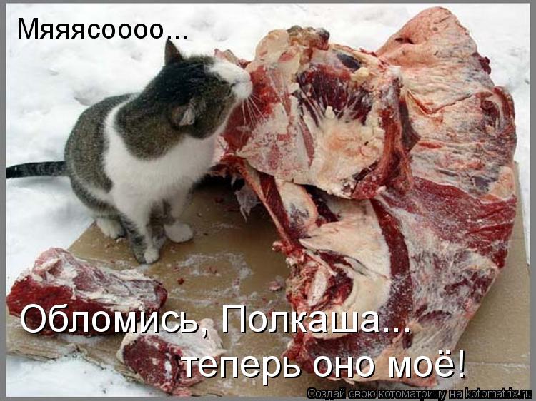 Мяяясоооо... Обломись, Полкаша... теперь оно моё!... Котоматрица: Мяяясоооо... Обломись, Полкаша... теперь оно моё!